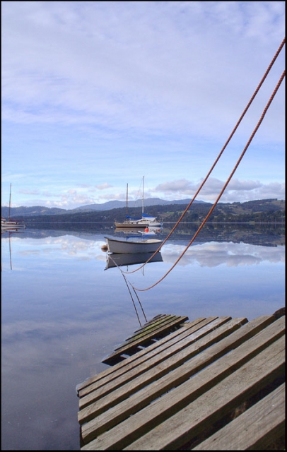 the_huon_by_alexwise.jpg