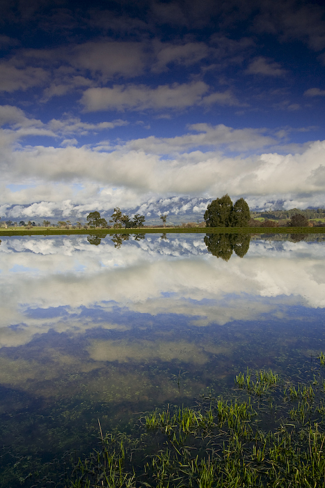road_side_reflections_by_alexwise road_side_reflections_by_alexwise