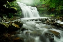 Liffey Falls, Tasmania