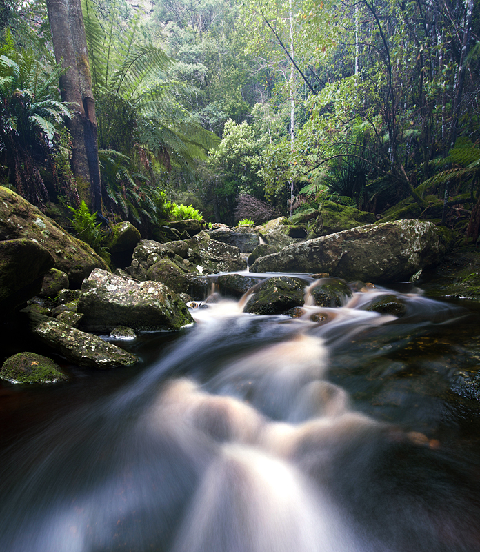 Tasmanian landscape Tasmanian Landscape