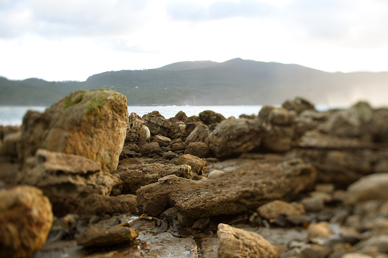 IMG_8599 Eaglehawk Neck Sunrise Reflections / Tilt Shift