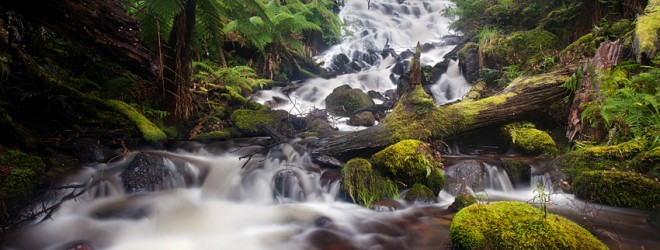 Cora Lynn Falls, Yarra Ranges National Park – Waterfall Photography