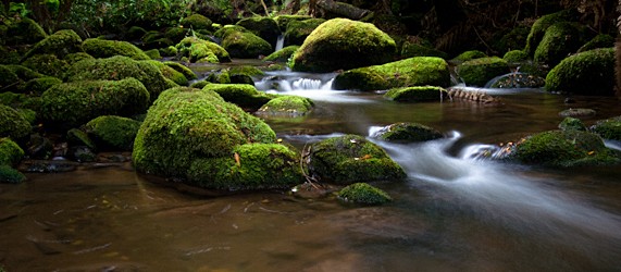 Waterfall Photography – Tasmania