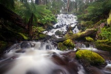 Cora Lynn Waterfall