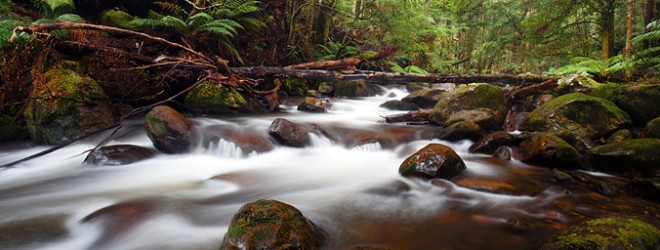 Marysville Stream