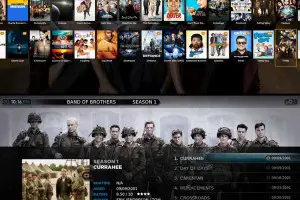 Plex provides a beautiful user experience as it neatly sorts your library with relevant photos, text and subtitles for your media