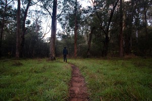 Walking through the fog at the Howqua Valley