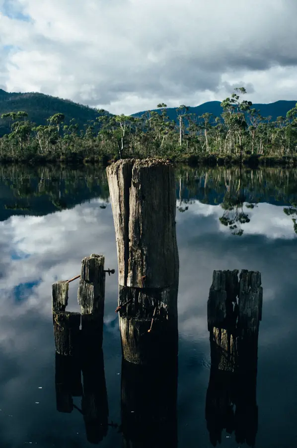Road side reflections near Huonville with the Fujifilm X100