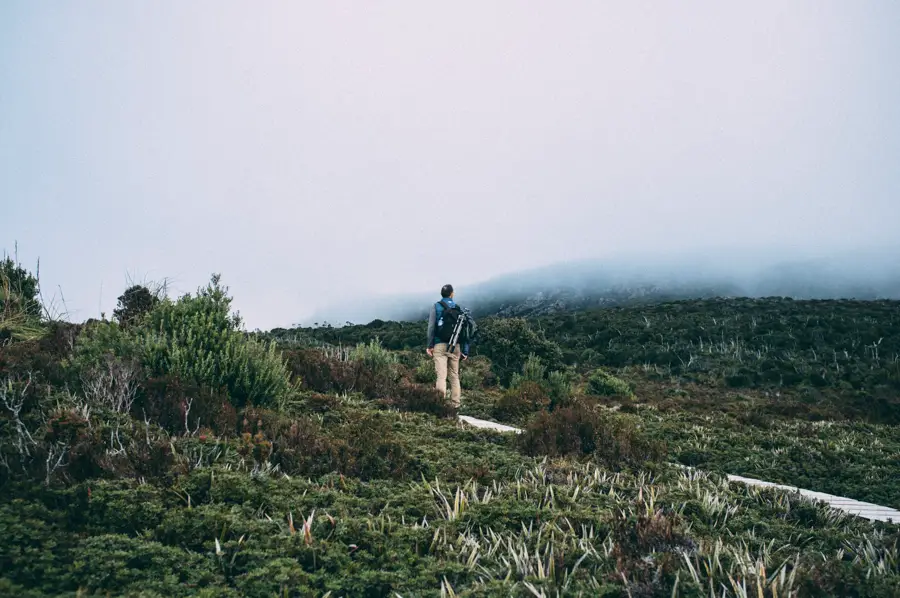Hartz Mountains National Park - A great day walk