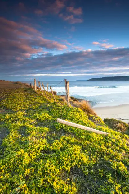 Calvert's Beach, South Arm