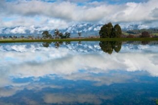 Roadside Reflections