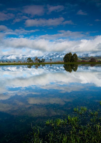 Roadside Reflections