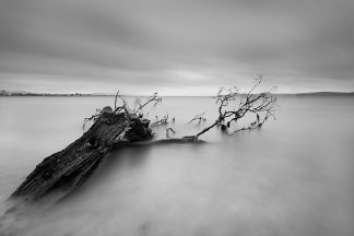 Remnants