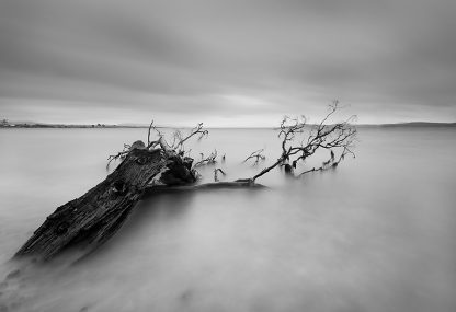 Remnants
