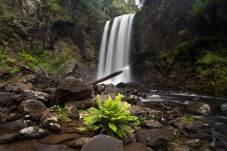Great Otway National Park Waterfall