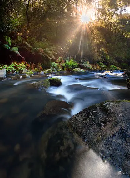 First Light at Hopetoun Falls