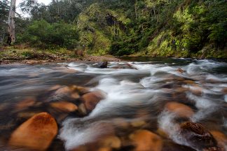 Howqua Valley