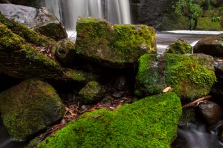 Strickland Avenue Falls