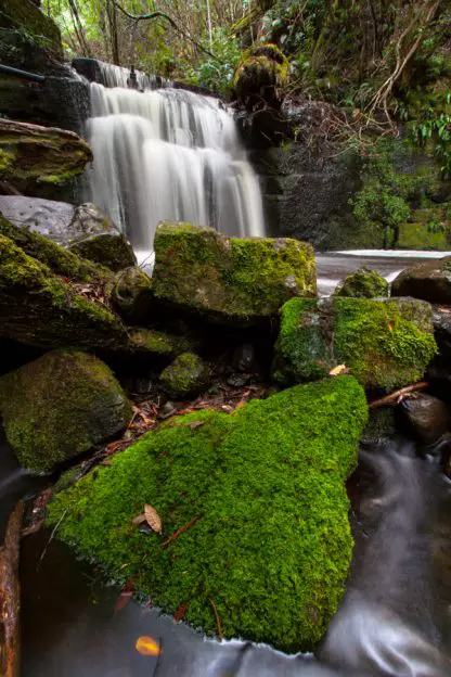 Strickland Avenue Falls