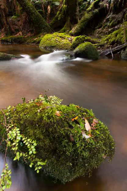 St Columba Stream