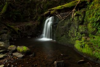 Mt Wellington Waterfall