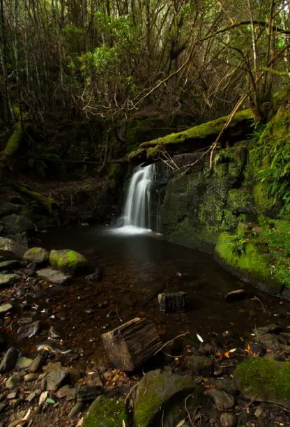 Mt Wellington Waterfall