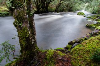Cradle Mountain Stream