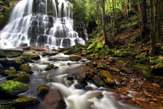 Nelson Falls, Tasmania