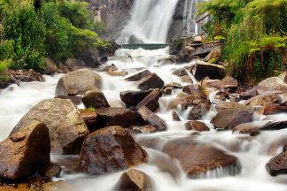 Steavenson Falls