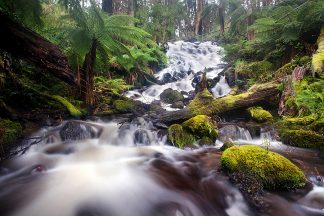 Cora Lynn Falls