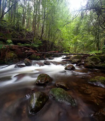Yarra Ranges