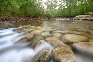 Mt Wellington Stream