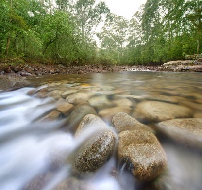 Mt Wellington Stream