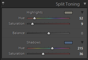 Split toning settings used for this image