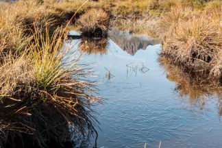 Cradle Mountain