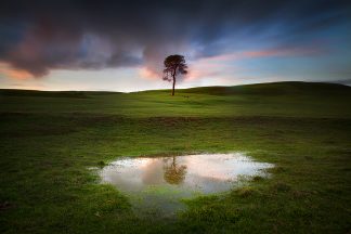 mansfield, victoria