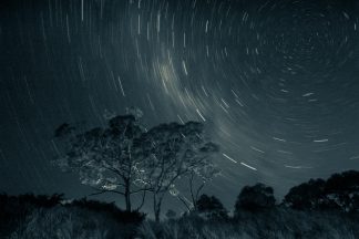 Sitting Under the Stars