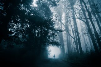 Walking into Fog