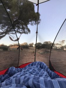 Falling asleep under the milkyway then waking up to golden hour light was special