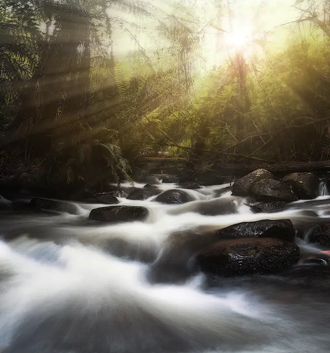 Warburton Cement Creek