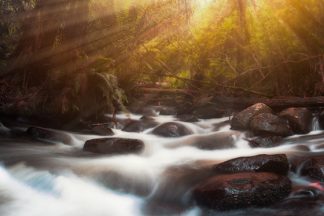 warburton cement creek