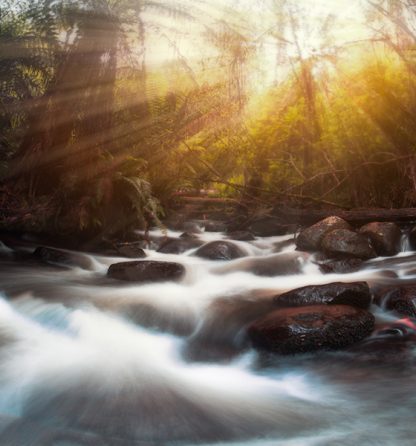 warburton cement creek