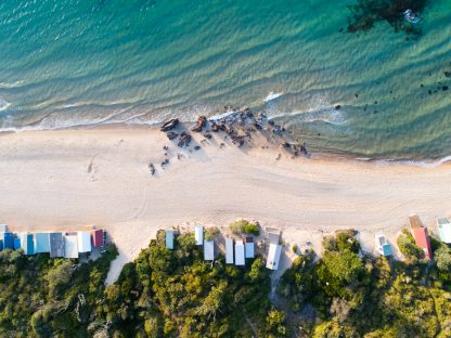 Mt Martha beach huts