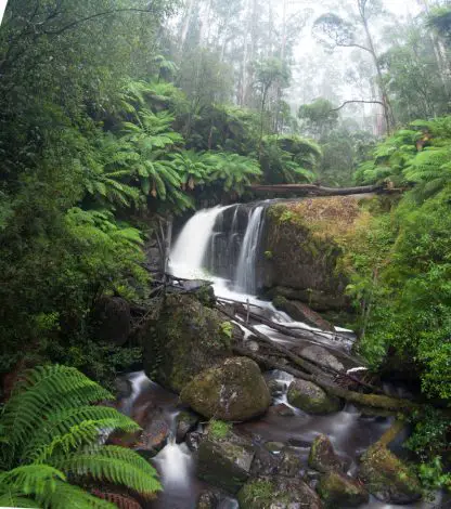 Amphitheatre Falls