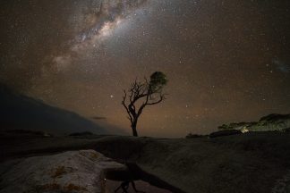 Bay of Fires Tree Under the Milkyway
