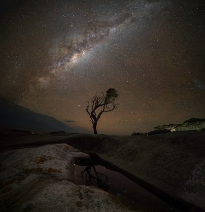Bay of Fires Tree Under the Milkyway