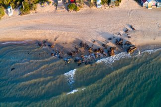 Mt Martha Beach Huts