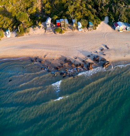 Mt Martha Beach Huts
