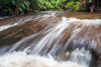 Noojee Stream