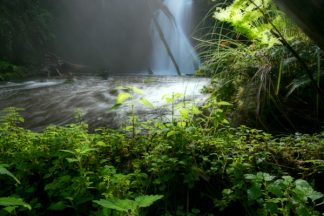 Mariners Falls Foliage